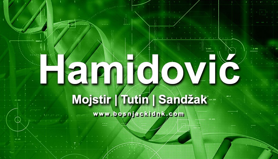 https://bosnjackidnk.com/wp-content/uploads/2017/12/hamidovic-1.jpg